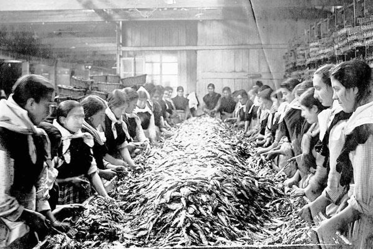 Mujeres trabajando con la sardina en la factoría original de Massó en Bueu.