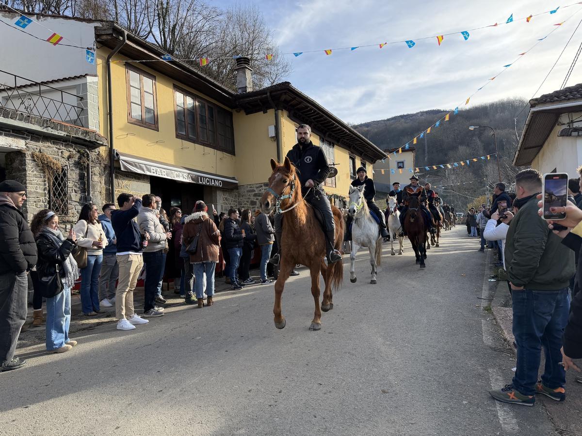 El guirria reaparece por el Año nuevo en Beleño