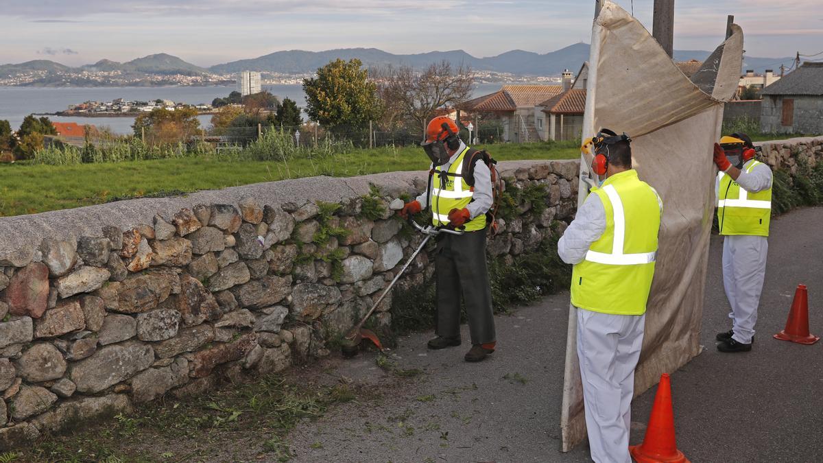 As brigadas cobren todo o rural de Vigo.