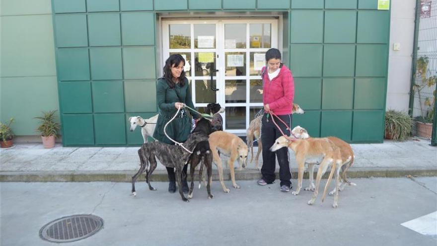 CNT inicia un conflicto sindical contra Galgos del Sur que niega los hechos