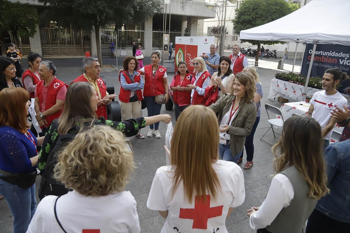 La campaña de Cruz Roja claveles por un trabajo igualitario, en imágenes