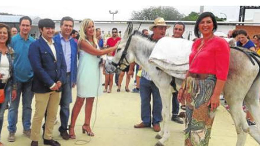 Vuelta a la ferias de ganado