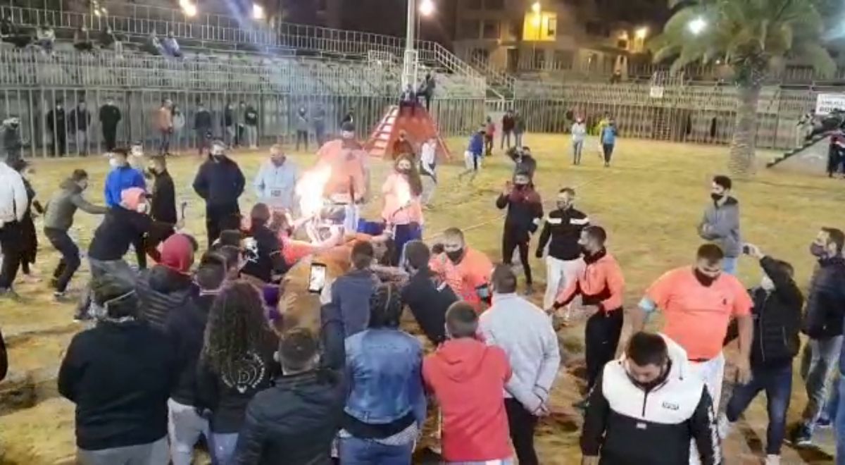 Polémica por la celebración del 'bou embolat' en Vila-real