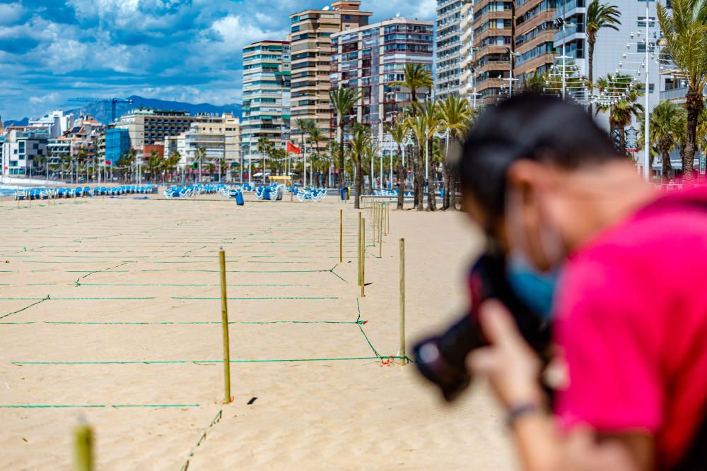 Benidorm prepara la apertura de sus playas con la parcelación