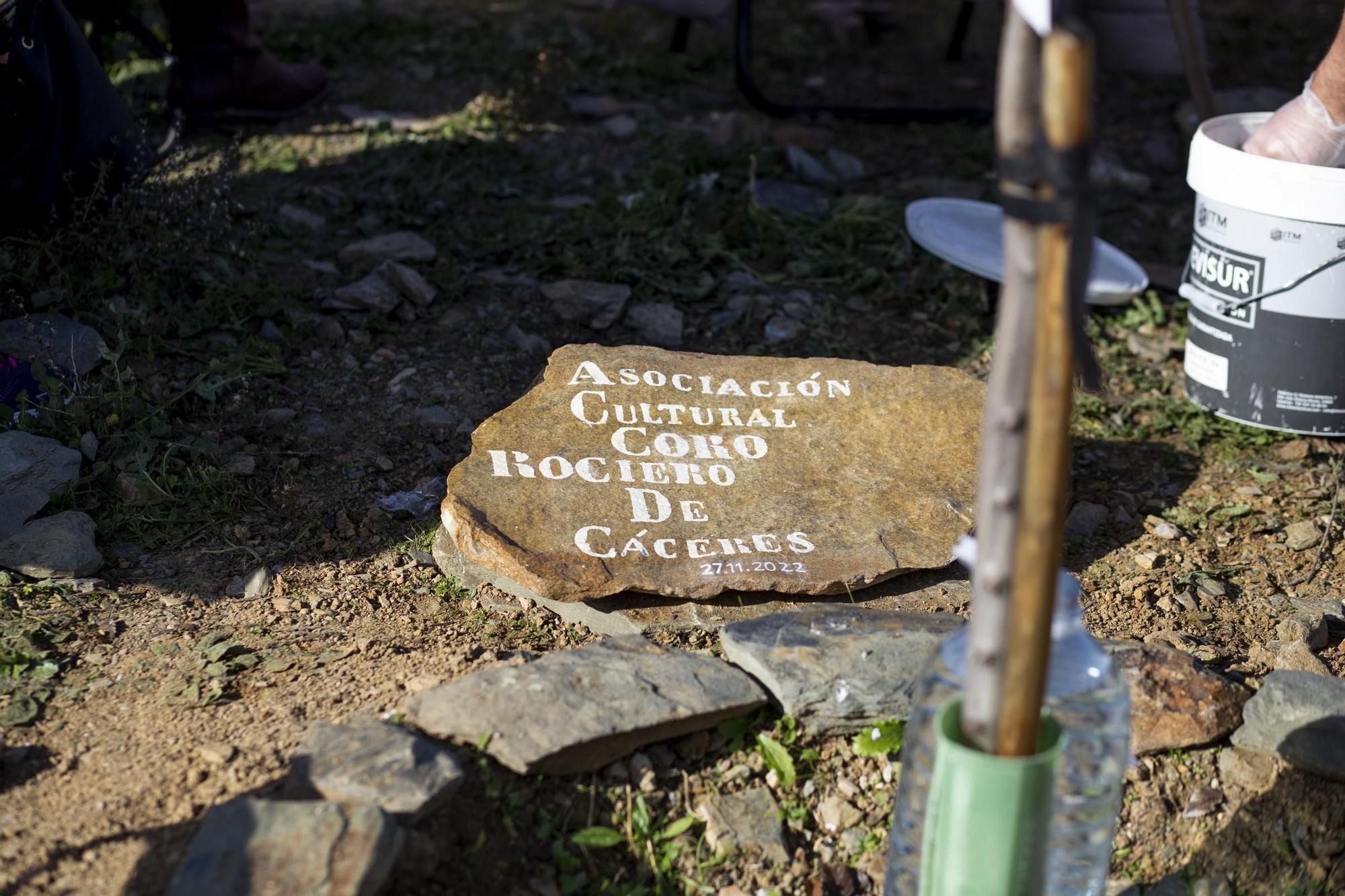 GALERÍA | Así ha sido la plantación de olmos en Cáceres El Viejo