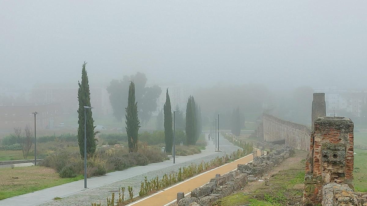 CARRERAS POPULARES | En la UCI dos corredores de la San Silvestre de Mérida tras sufrir sendas paradas cardiorrespiratorias CARRERAS POPULARES | En la UCI dos corredores de la San Silvestre de Mérida tras sufrir sendas paradas cardiorrespiratorias
