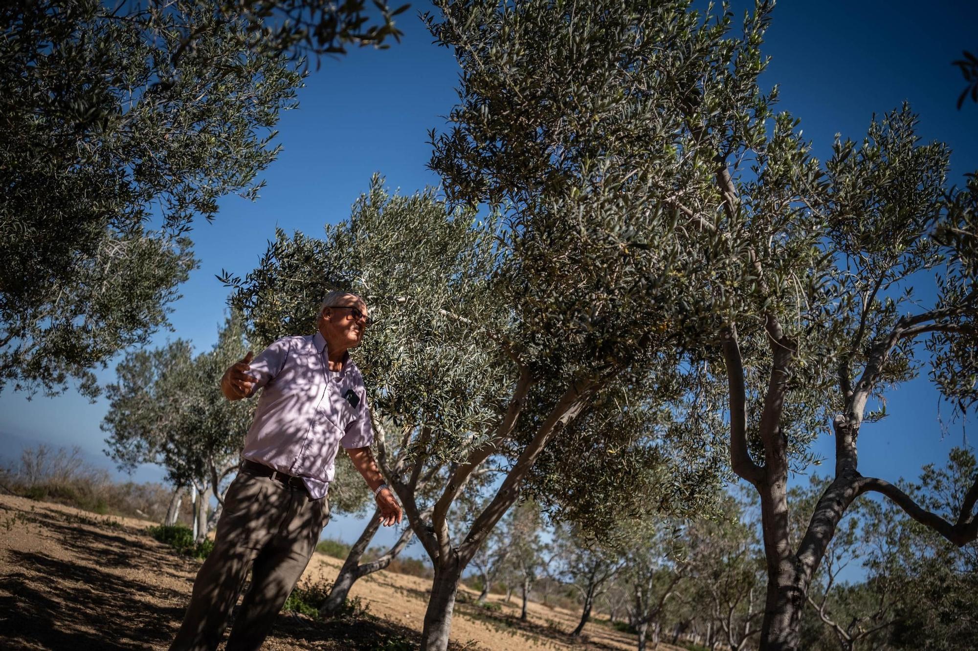 Manuel Marrero. agricultor afectado por la sequía