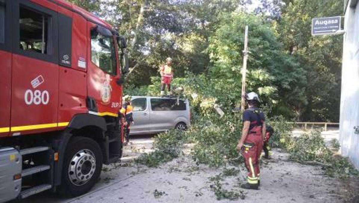 Un árbol se desploma en Vigo y daña tres coches de un concesionario