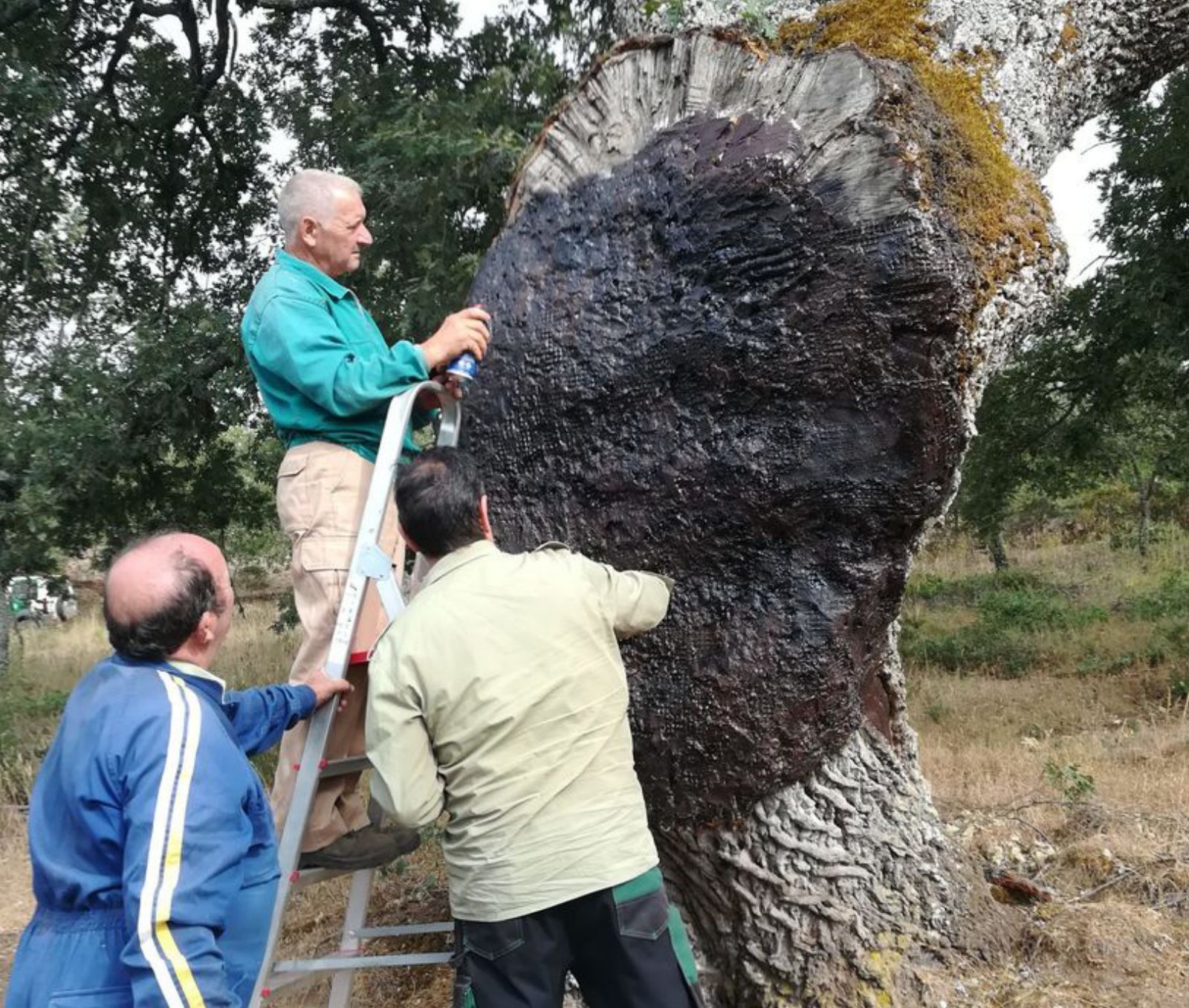 Vecinas de Ribas junto al roble centenario. | Ch. Sebastián