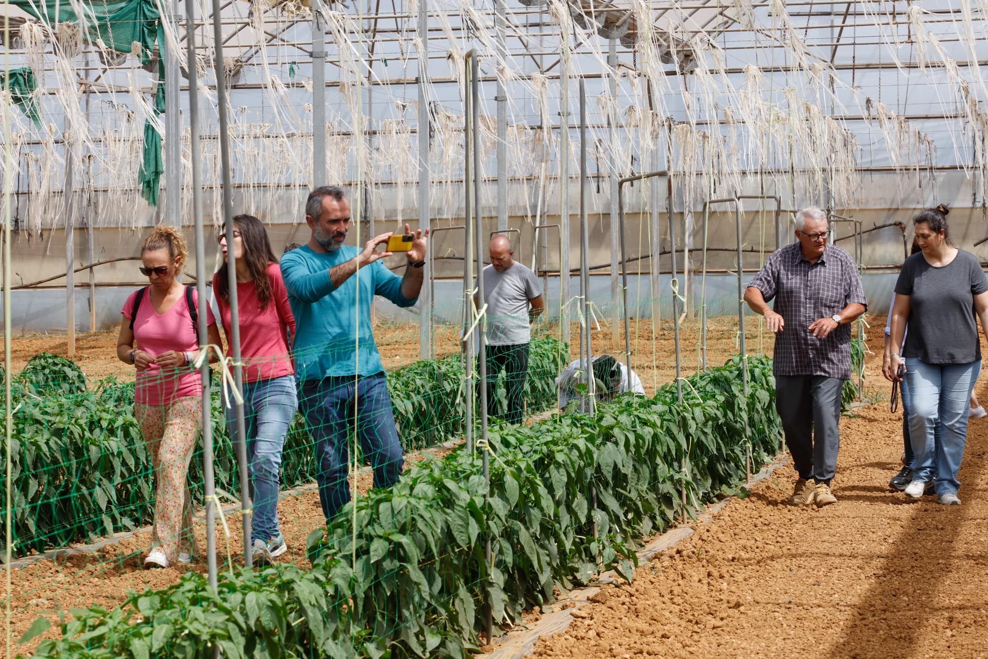 Visita guiada a la finca hortícola de Can Pol en Ibiza