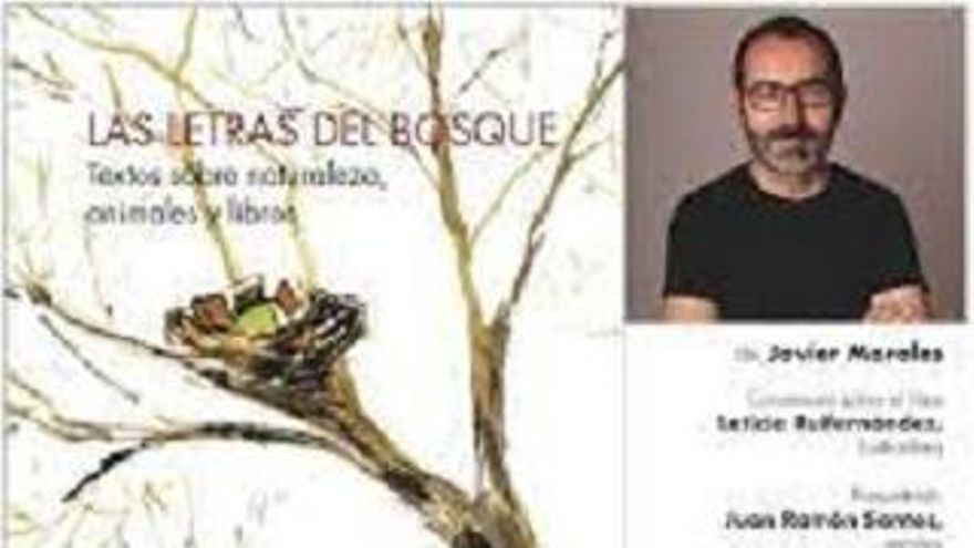 Las letras del bosque