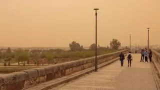 Vuelve la calima a España: estos son los consejos de los médicos para protegerse del polvo