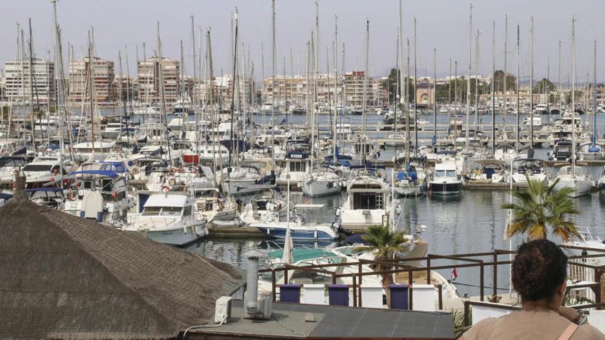 Torrevieja reclama al Consell que renueve a las marinas y clubes náuticos que fomenten el deporte