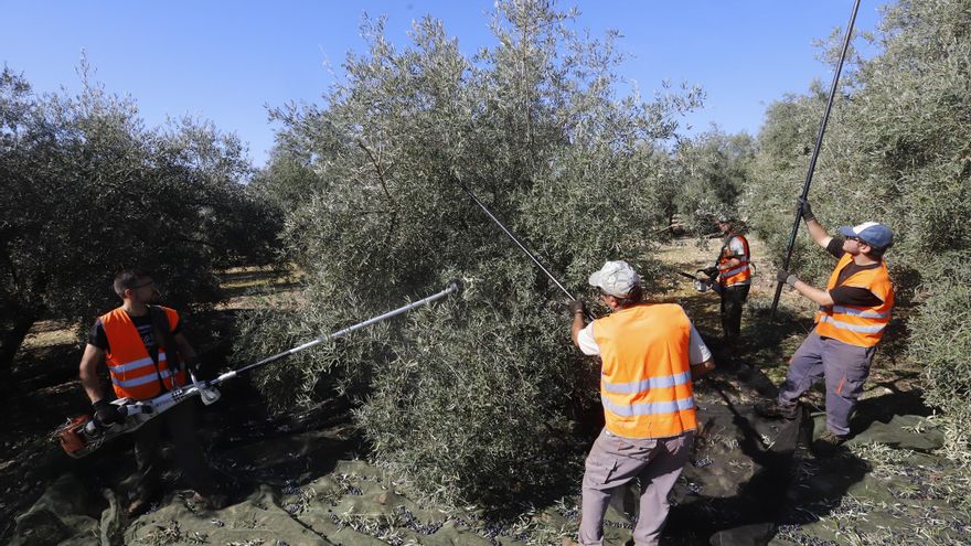La contratación en la agricultura ha caído en lo que va de año un 19,2%