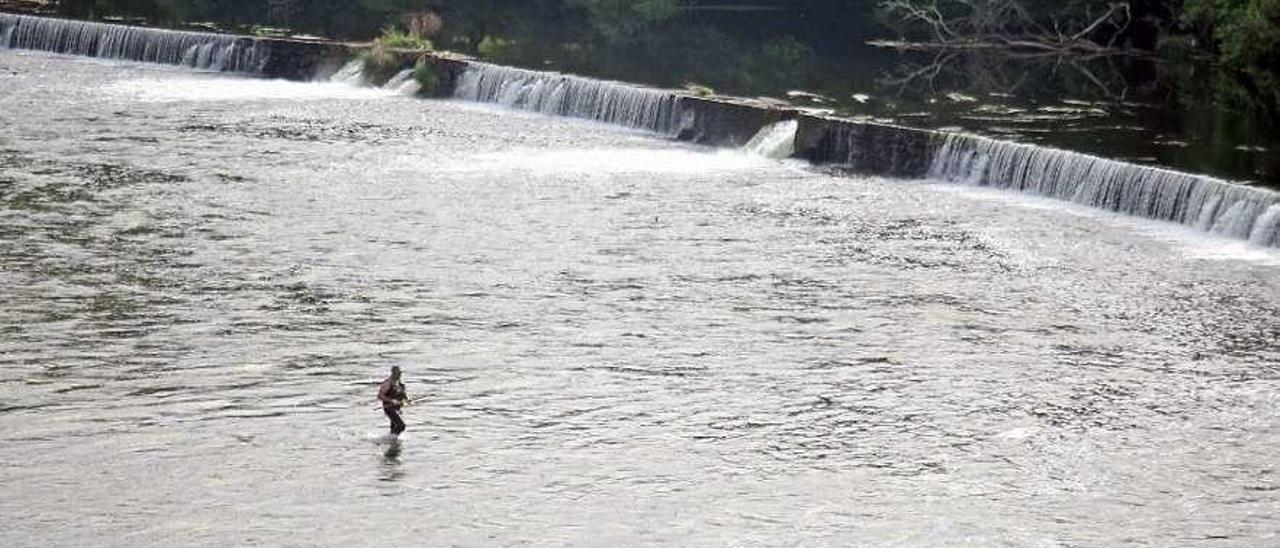 Un pescador avanza por el río el coto estradense de Couso. // Bernabé/J.Carlos Asorey