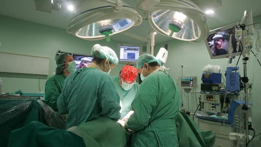España logra el mayor aumento de donantes de órganos de la historia