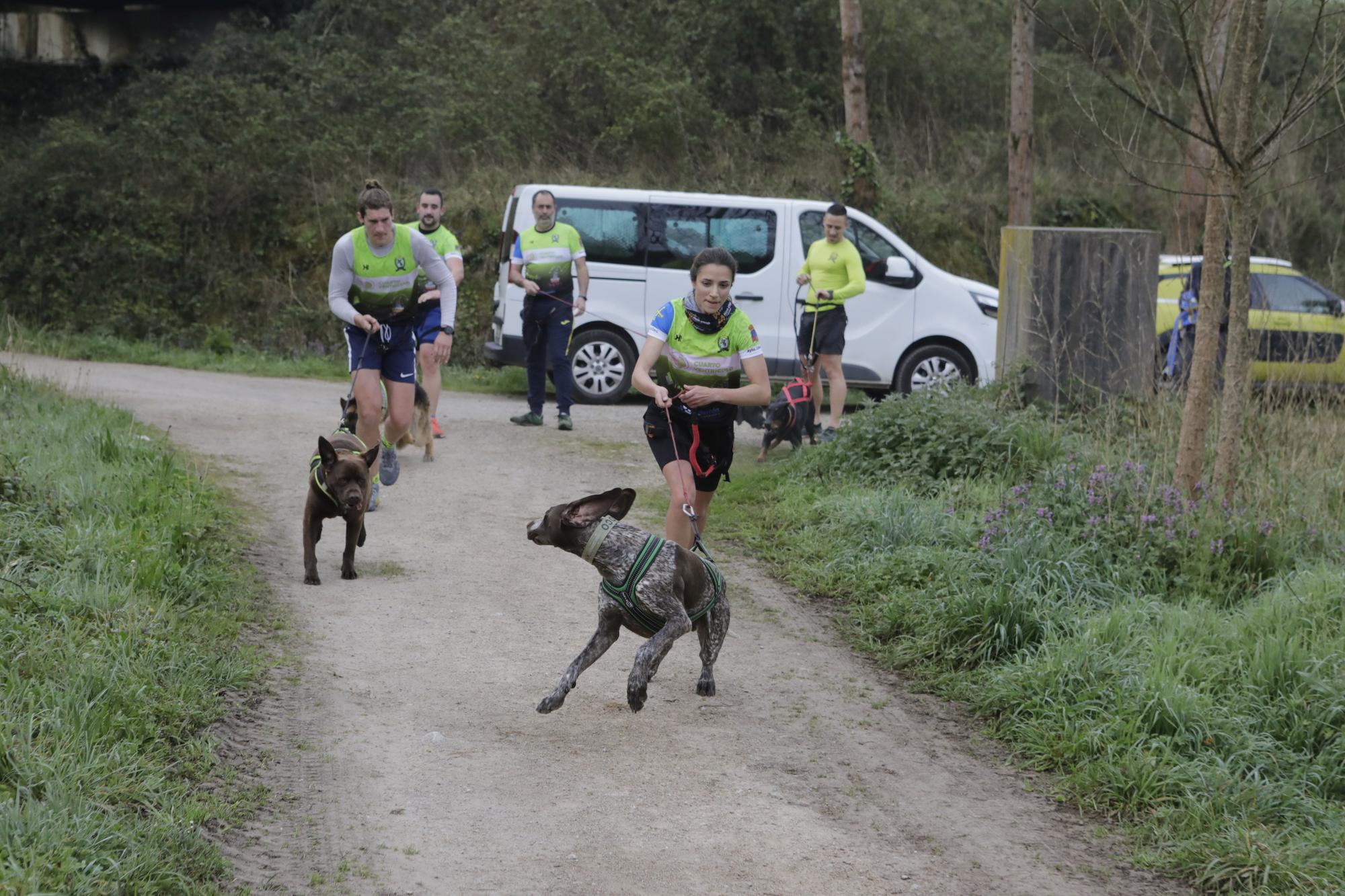 Los corredores del Celtastur de Llanera y sus perros preparan el Mundial en La Morgal: cuatro de sus integrantes estarán en la cita de Plédran (Francia)