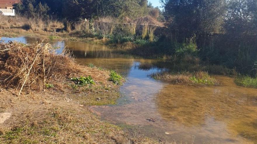 El torrente con el agua que mana de la tubería desde hace días.