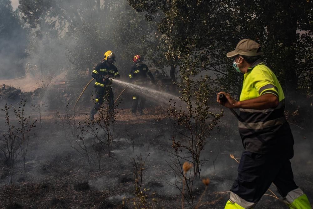 Imágenes del incendio originado en Lober de Aliste