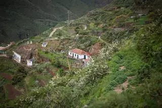 Tenerife vaciada: Bejía, en La Laguna