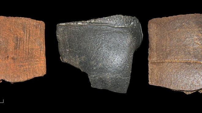 Tres fragmentos de caparazón del galápago europeo (Emys orbicularis) procedentes de la gravera de Barleben-Adamsee.