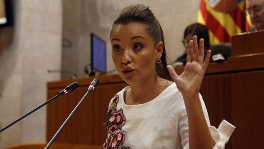 Podemos reclama el acceso al Reina Sofía de las poblaciones de Aragón limítrofes