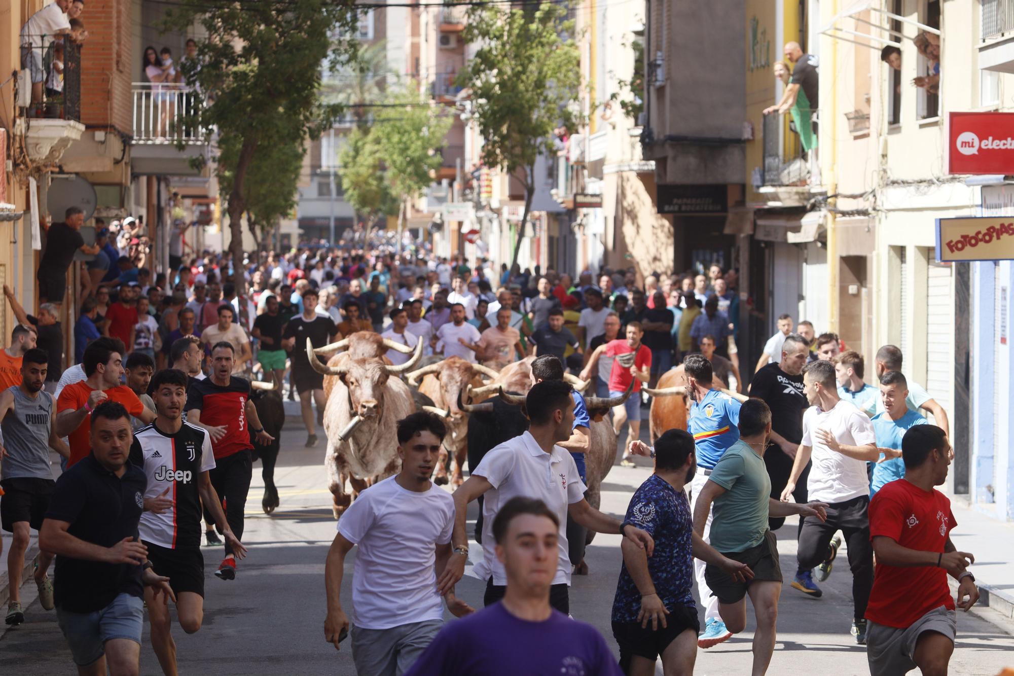 Fiestas de Sant Pere 2023: Las mejores imágenes del encierro de cerriles en el Grau de Castelló