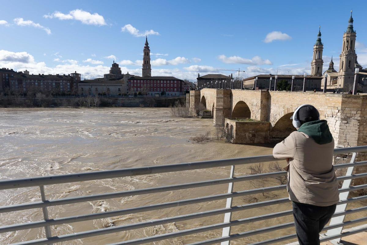 En imágenes I Árboles caídos en Zaragoza y parques cerrados por el viento
