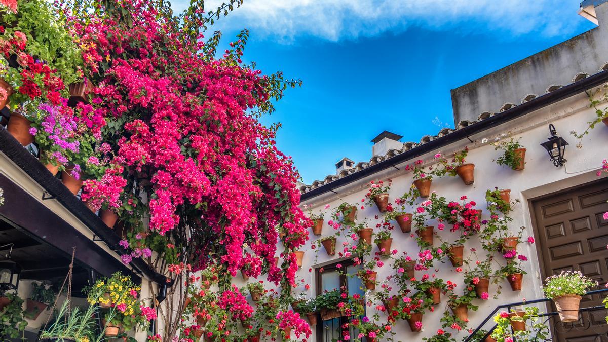 Estos son los lugares que no debes perderte en España para vivir una primavera Mágica