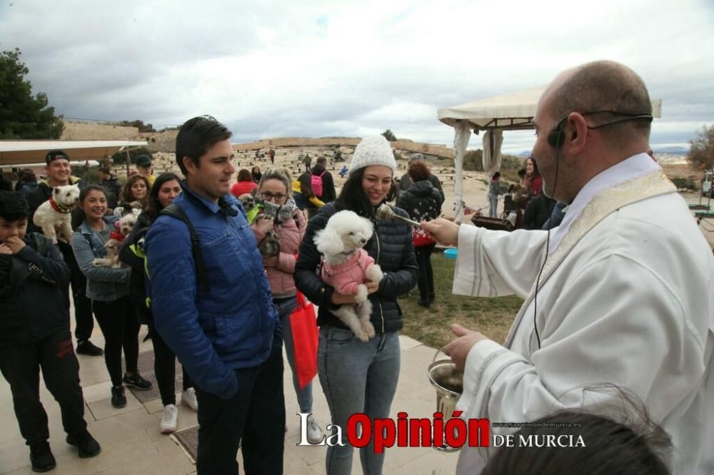 Jornada especial por San Antón en la Fortaleza del Sol de Lorca