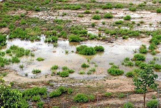 Schwere Gewitter auf Mallorca