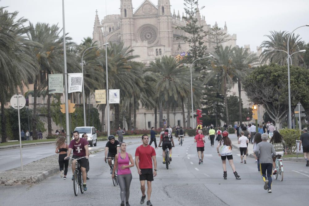 El cierre de calles en Palma, un alivio  para los paseos con seguridad