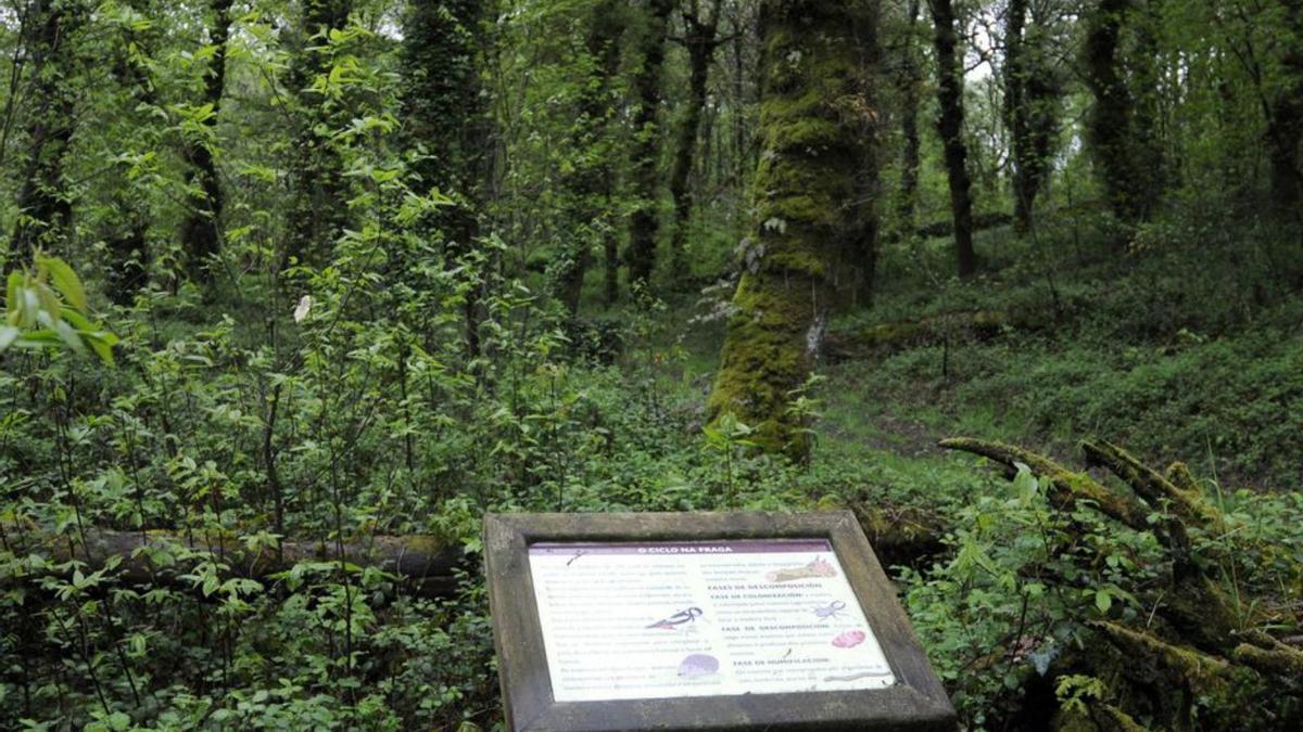 La Fraga de Quiroga, monumento natural desde el 2000. |  // BERNABÉ/J.LAÍN