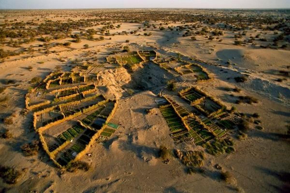 Jardines en el desierto de Tombuctú