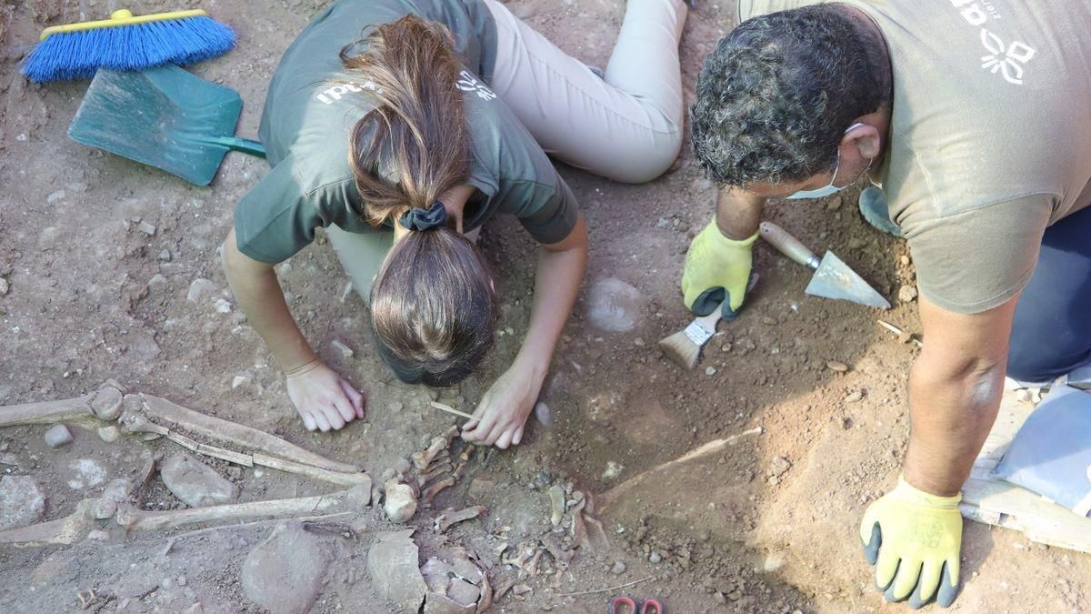 Trabajos para las exhumación de fosas en el cementerio de La Salud.