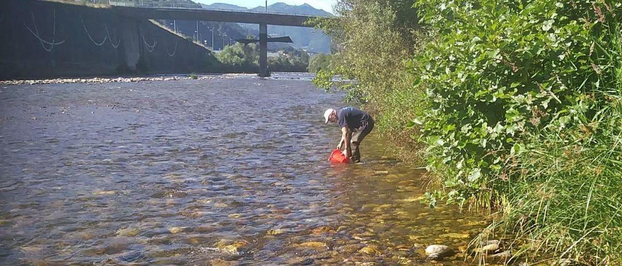 La Agonia Del Coto De Pesca Sin Muerte La Nueva Espana