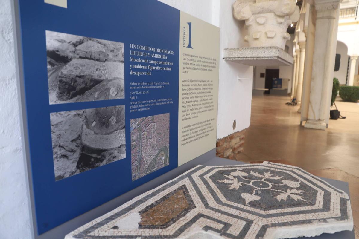 delegado de Cultura y Deporte, Eduardo Lucena, inaugura la exposición temporal '8 mosaicos-8 historias' en el Museo Arqueológico de Córdoba