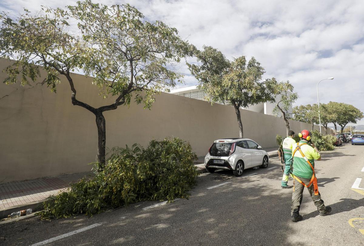 La borrasca Ciarán provocó incidentes en Mallorca