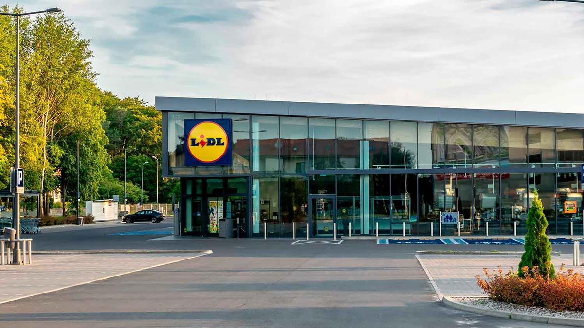 Aterriza en Lidl y por tiempo limitado el accesorio para poder usar nuestra bicicleta dentro de casa y hacer kilómetros los días de lluvia