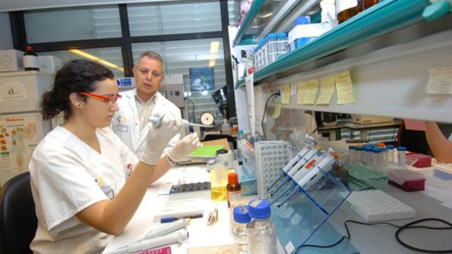 Canarias es la región con mayor tasa de enfermos renales crónicos