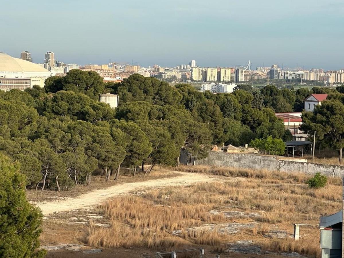 Zona del cuartel militar con masa arbórea donde se prevé el desarrollo urbanístico.