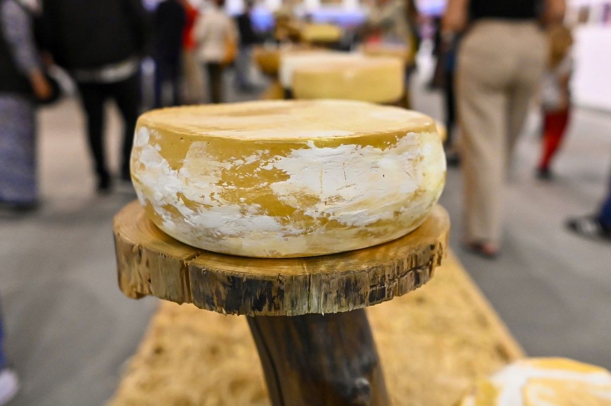 Exposición conjunta "Miradas al Queso"