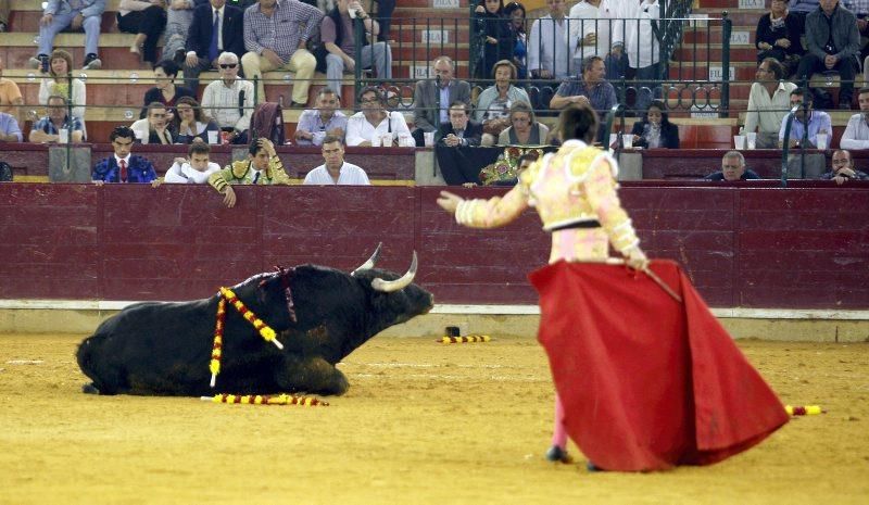 Novillada en la plaza de Toros