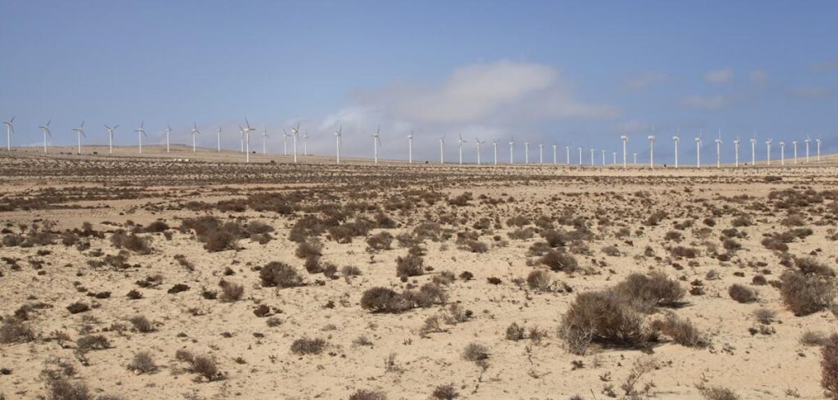 Fuerteventura, un paraíso amenazado por varios proyectos