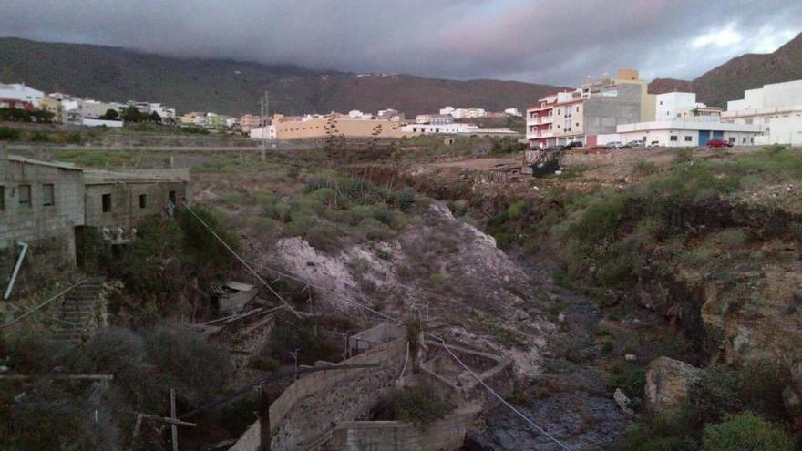 Aparecen decenas de animales muertos en una finca de Arona