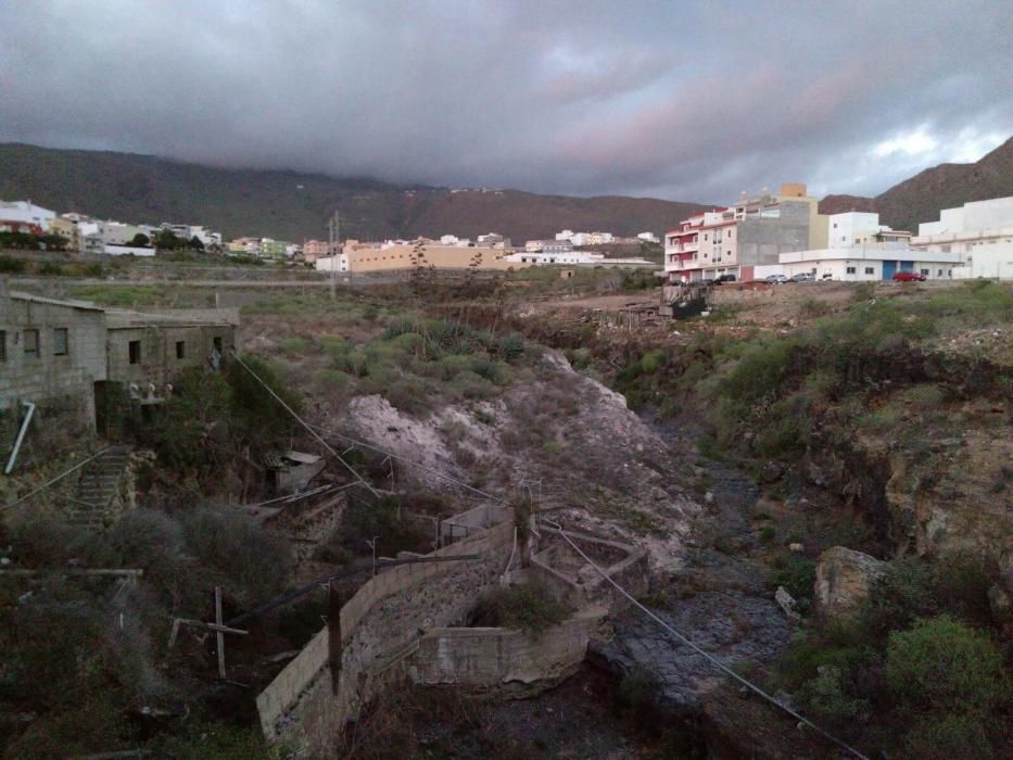 Aparecen decenas de animales muertos en una finca de Arona