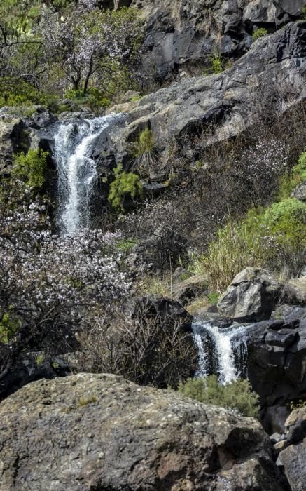 30/01/2018 LAS TIRAJANAS. Frio, lluvias, y cascadas de aguas en Las Tirajanas. FOTO: J. PÉREZ CURBELO