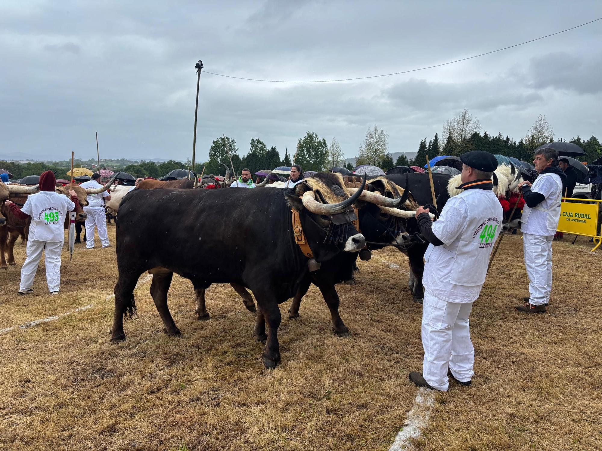 EN IMÁGENES: El domingo de San Isidro en Llanera