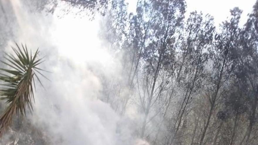 Sofocan un incendio en una barbacoa antes de que se propague en la Serra d´Oltà