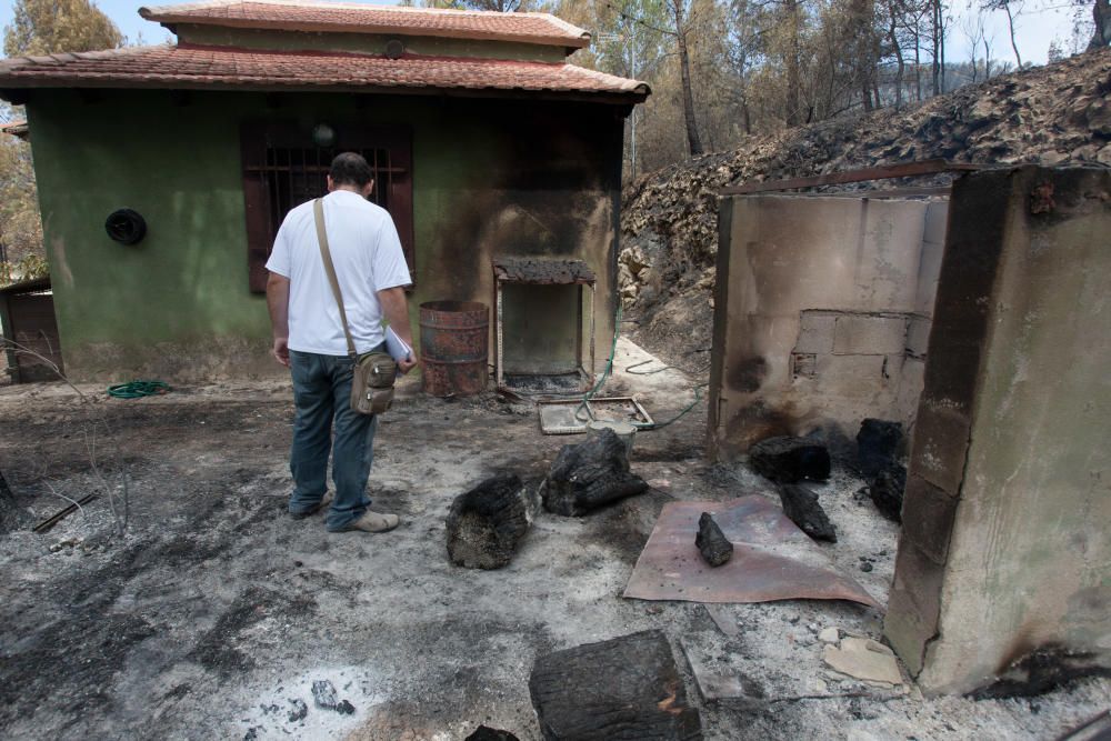 Así fue el incendio de Torremanzanas (agosto,2012)